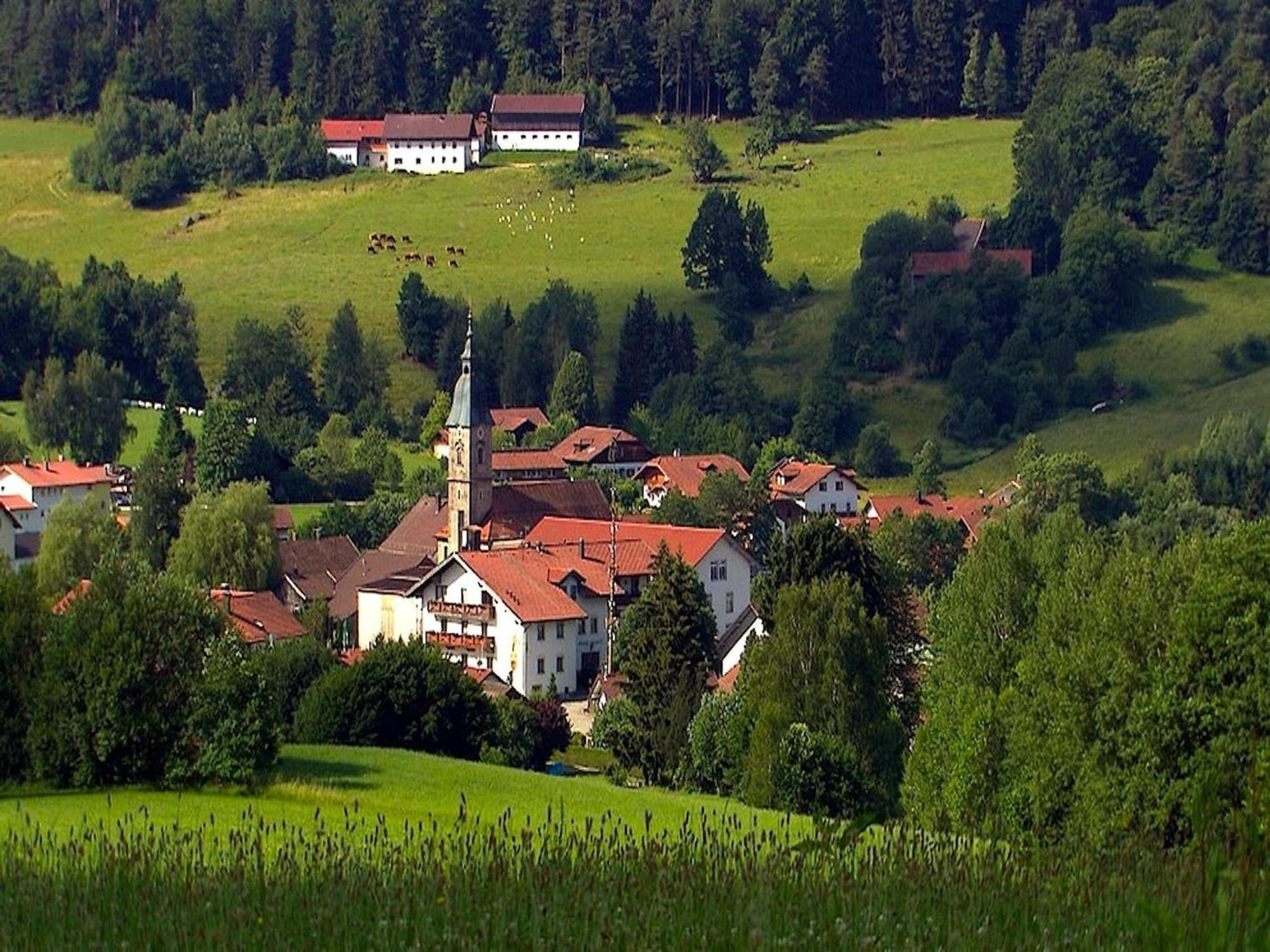 Comfortable Apartment In Zenting In Lower Bavaria Exteriér fotografie