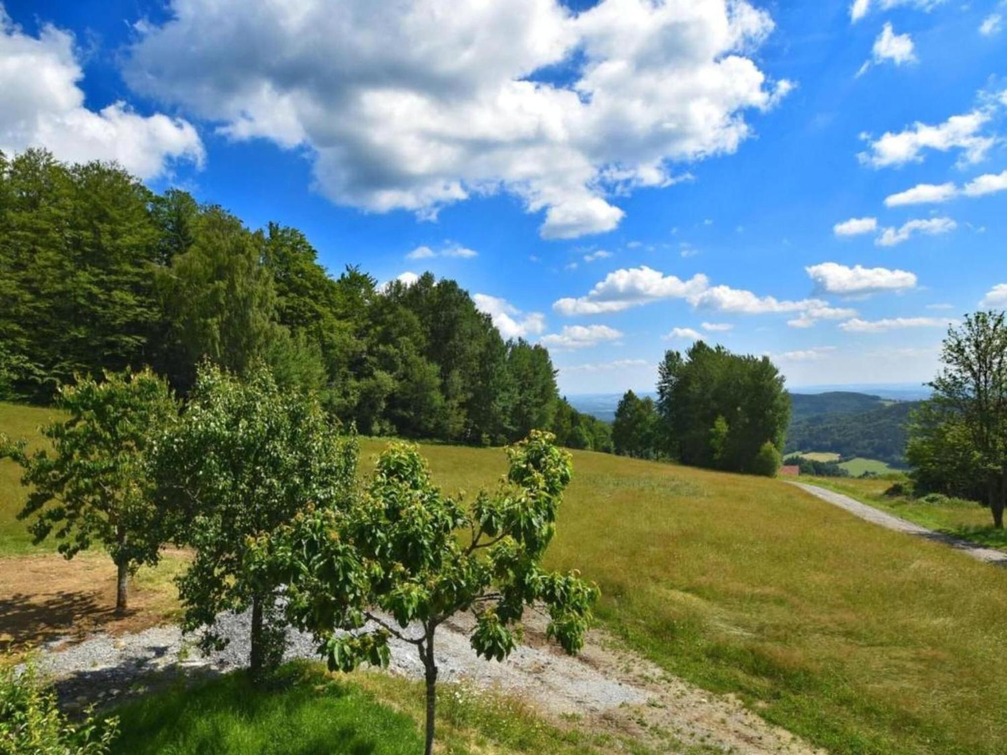 Comfortable Apartment In Zenting In Lower Bavaria Exteriér fotografie