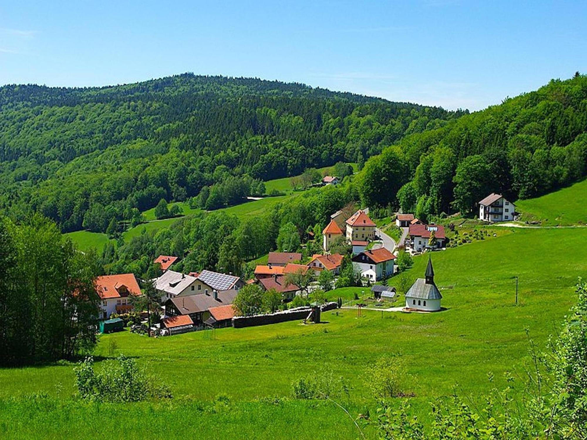 Comfortable Apartment In Zenting In Lower Bavaria Exteriér fotografie